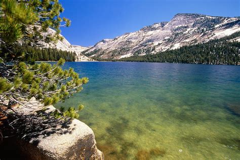 Crystal Clear Alpine Lake Photograph By George Oze