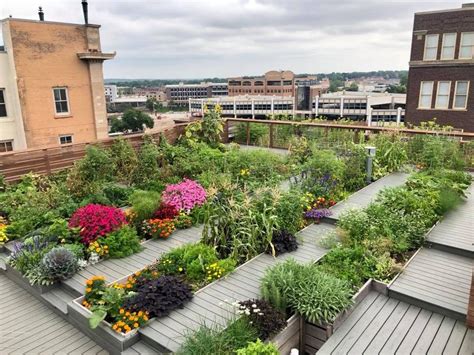 We've got the 33 best rooftop garden ideas to inspire your next project! Downtown building offers rooftop garden harvest ...
