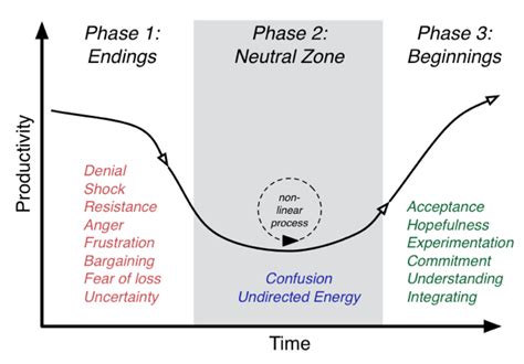 Managing Change In Transition