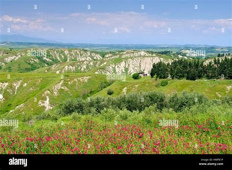 Crete Senesi Landscape In Tuscany Italy Stock Photo Alamy