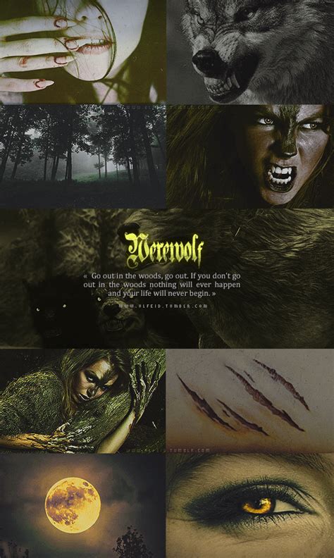 Pin By Myrsa On Mythology In 2020 Werewolf Aesthetic Werewolf Girl Werewolf Art