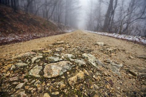 Foggy Road In The Forest Stock Photo Image Of Nature 67909754