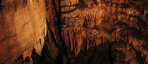 Mammoth Cave National Park Evolve