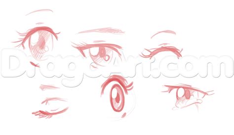 How To Draw Anime Girl Faces Step By Step Anime Heads