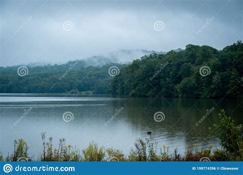 Early Morning Mist Over Lake Stock Photo Image Of Peaceful Tranquil