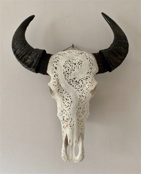 Hand Carved Buffalo Skull Bone Catawiki