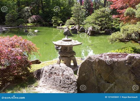 Mening Van Japanse Tuin Met Vijver En Coloful Struiken Stock Afbeelding