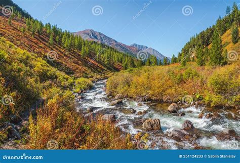 Mountain Autumn River Flow Through Forest Beautiful Alpine Landscape