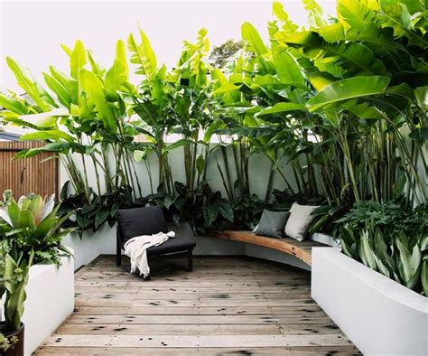 A Small Tropical Garden With Low Maintenance Plants Courtyard Gardens