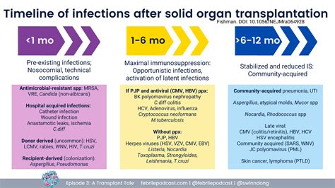Timeline Of Infections After Solid Organ Transplantation Grepmed