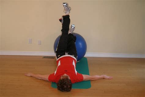 Single Leg Raise And Cross With The Exercise Ball