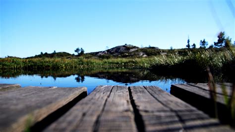 1920x1080 1920x1080 Water Photo Bridge Lake Nature Plants River