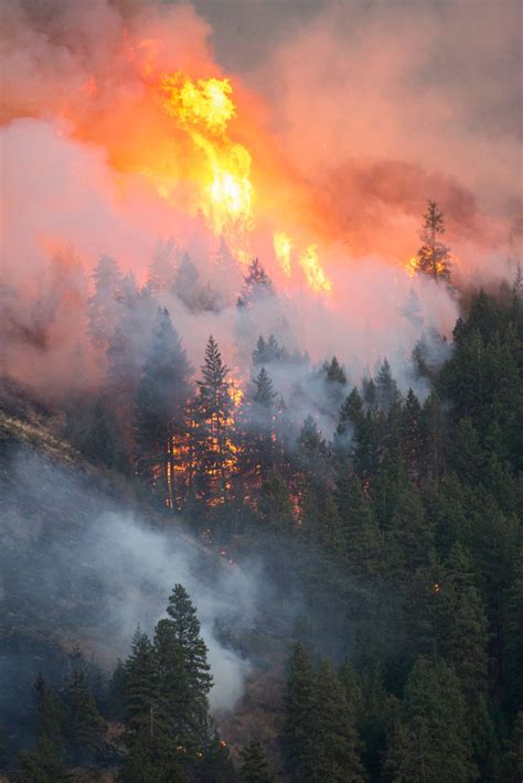 Chelan Fires First Creek Fire Okanogan Wenatchee Nf Wa 2015