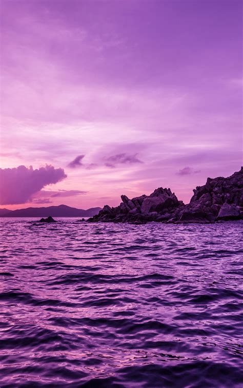 Download 1600x2560 Purple Sky Pelican Island Sunset Ripples Ocean