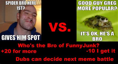 101whos The Bro Of Funnyjunk20 For Moredubs Can Decide Next Meme