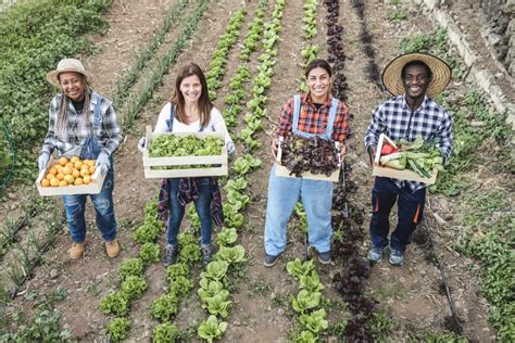 Cooperatives In Agriculture Empowering Farmers And Strengthening Local Economies