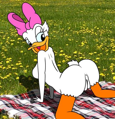 Rule 34 All Fours Anthro Ass Avian Bird Daisy Duck Disney Duck Female