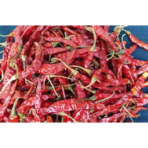 4884 Dry Red Chilli 25 Kg At Rs 450kg In Bengaluru Id 26233780455