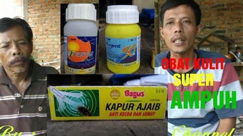 Pertama kali kulit kambing dicuci bersih dengan air, kemudian ditimbang untuk mendapatkan berat kulit. Cara mengobati PENYAKIT KULIT,CACINGAN PADA TERNAK SAPI ...