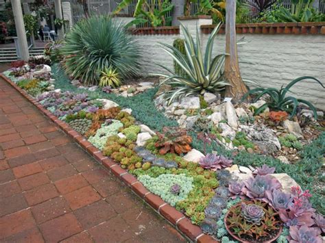 Ice plant (lampranthus deltoides )—3. Small Succulent Container Garden Ideas 2 (Small Succulent ...