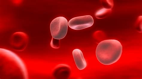 Outside In Iron Deficiency Anemia