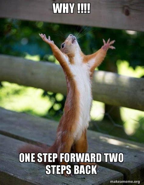 Why One Step Forward Two Steps Back Happy Squirrel Make A Meme