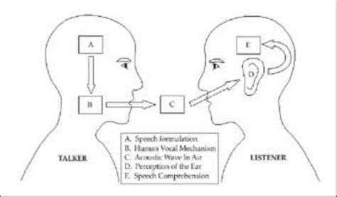Schematic Diagram Of Speech Production Speech Perception Process Download Scientific Diagram