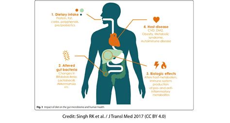 Probiotics And The Gut Microbiota In Intestinal Health And Disease