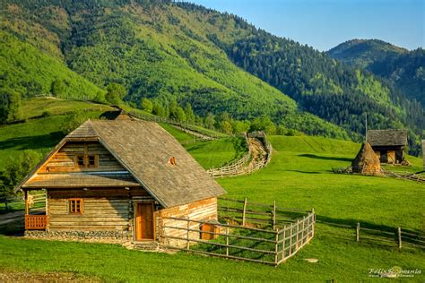Critter Sitters Blog Carpathian Mountain Scenes In Romania