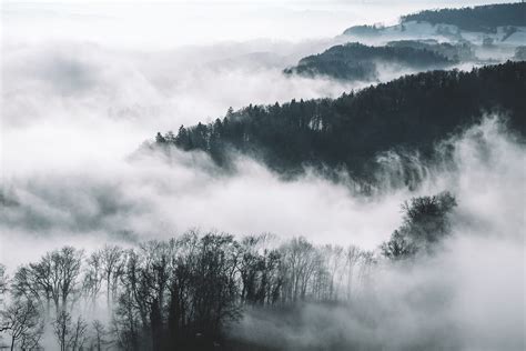 How To Capture Breathtaking Photos Of Mist And Fog Contrastly