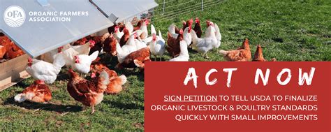 Take Action Tell Usda To Finalize And Enforce Strong Organic Animal