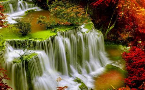 Top Angle View Of Greenery Stream Waterfalls Surrounded By Colorful