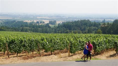 Oregon Wine Country Guide 8 Wineries To Visit In The Willamette Valley