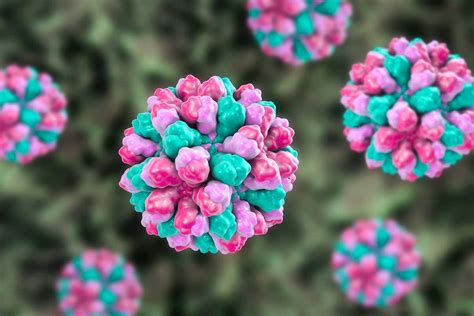 Shestakova moscow state medical dental university. A smartphone app can detect tiny amounts of norovirus in ...