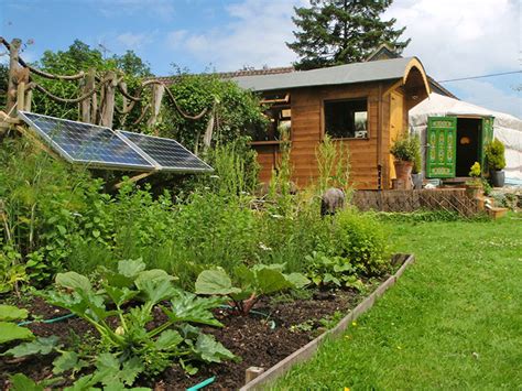 Spectacular Tiny Cabin is Off Grid Luxury on a Budget - Off Grid World