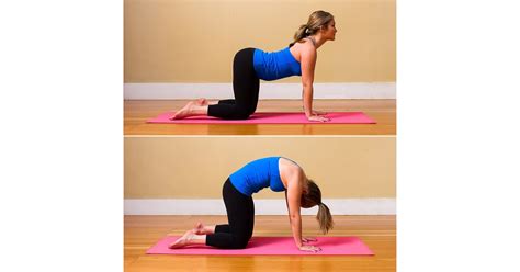 Cat Cow Pose Yoga For Sore Muscles Popsugar Fitness Photo 3