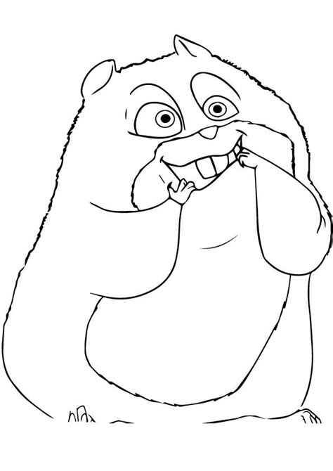 Hamsters are oh so cute sweet and adorable. print coloring image - MomJunction | Bear coloring pages ...