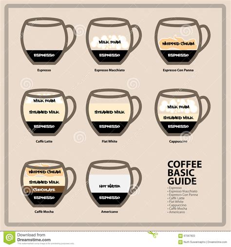Coffee Basic Guide Stock Vector Image 67567822