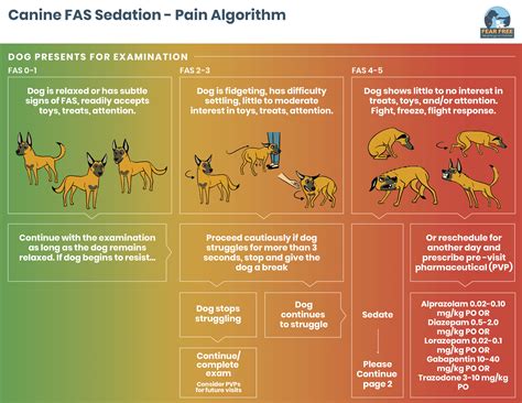 Dog Sedation Pain Algorithm 1 Fear Free Pets