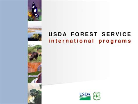 Ppt Usda Forest Service International Programs Powerpoint