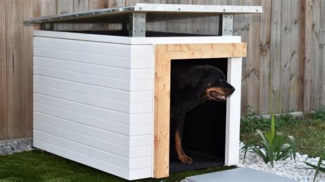How To Make A Dog House Part 1 Diy Build Youtube