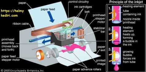 Cobalah gigit lembut lehernya tanpa meninggalkan bekas. Komponen-komponen printer dan penjelasan lengkap - Blog ...