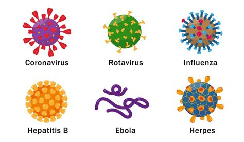 Humano Virus Conjunto Con Nombres Virus Células íconos En Blanco