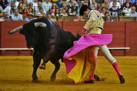 The Truth About Bullfighting