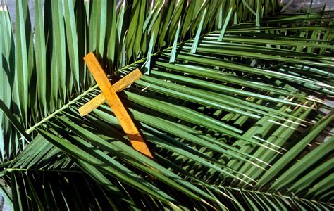 5 Interesting Facts About Palm Sunday Bcnn1 Wp