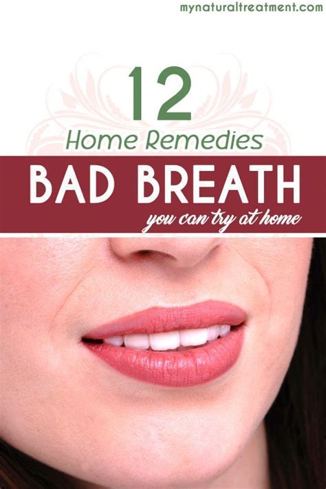 7 bad breath home remedies you should try badbreath badbreathremedies halitosis