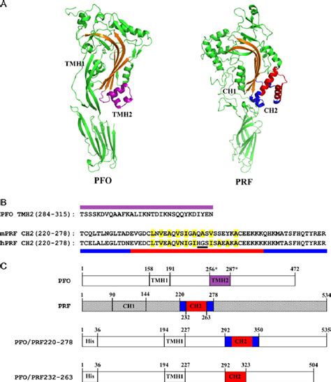 Comparison And Alignment Of Pfo Tmh2 And Perforin Ch2 Regions A