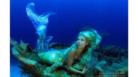 Hannah Fraser A Real Life Mermaid Swims With Sharks And Whales To