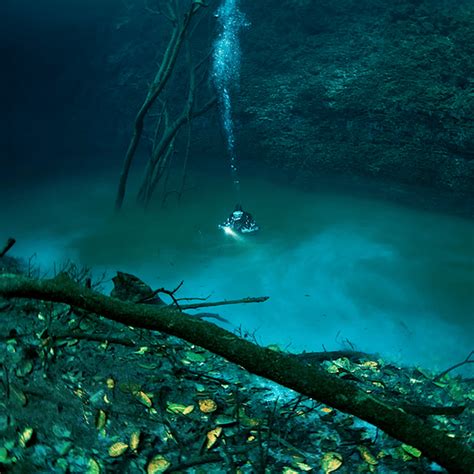 Hidden Underwater River Flows Along Mexicos Ocean Floor Underwater