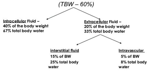 Components Of Body Fluids New